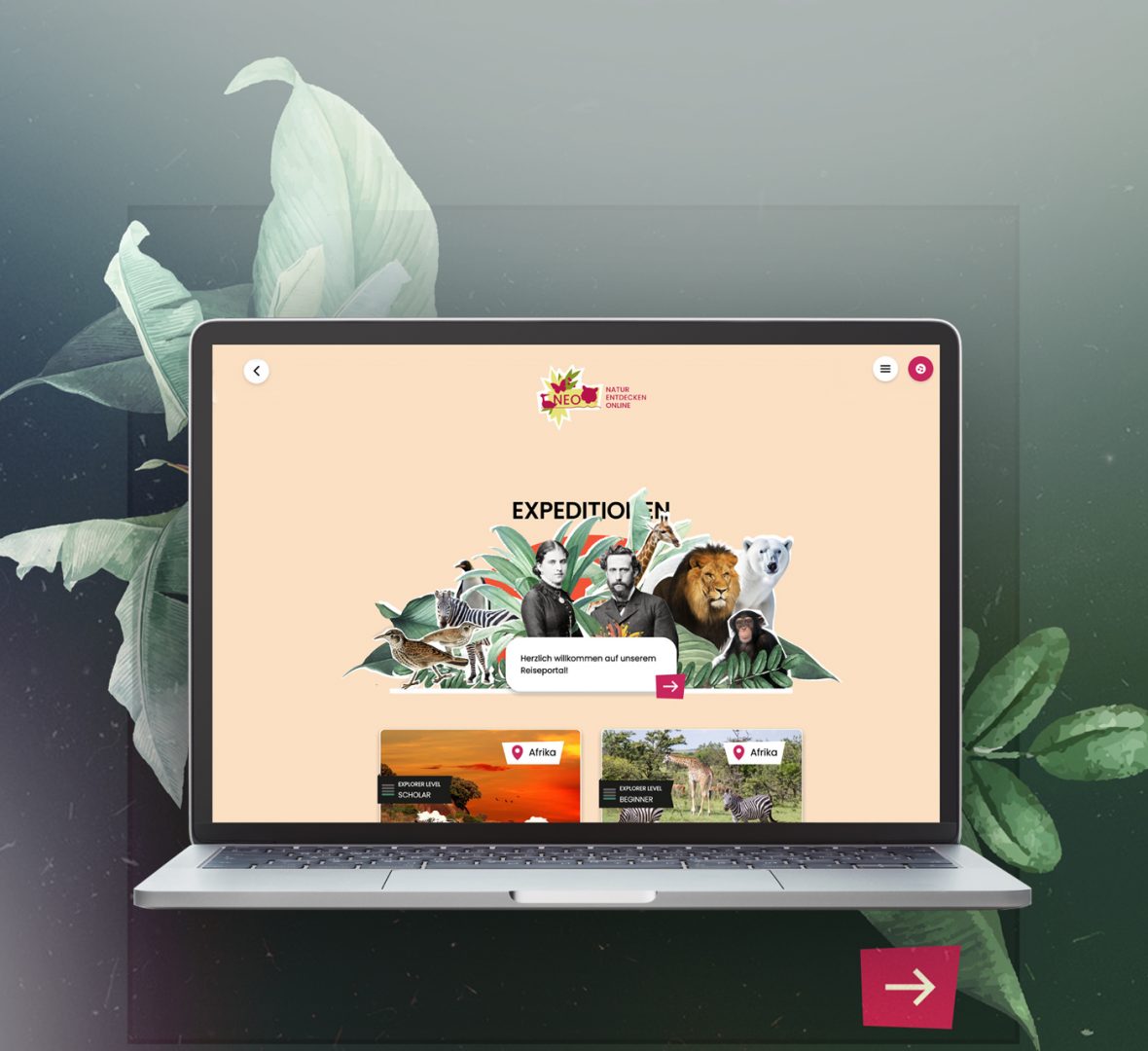 Bild zeigt die Webseite NEO